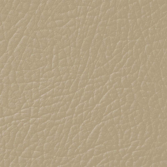 vernice per pelle desert beige205