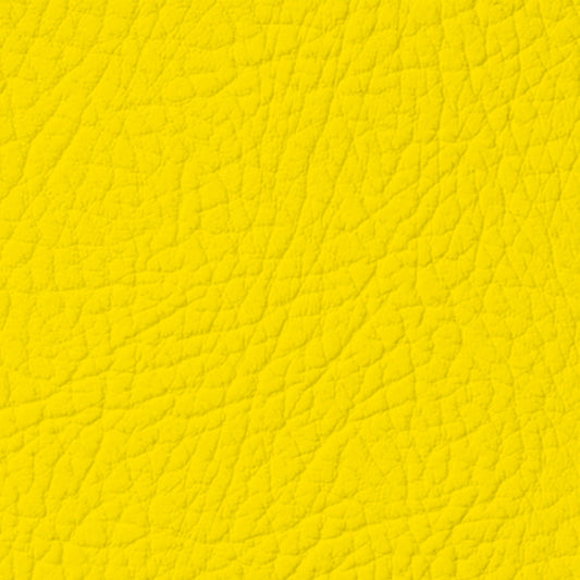 colore per pelle giallo 010